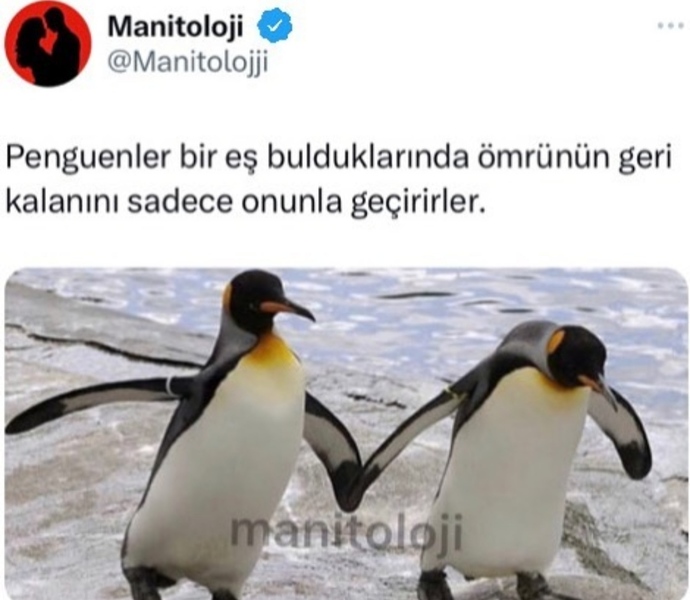 Ömrünüzün geri kalanını sadece bir kişiyle geçirebilir misiniz?