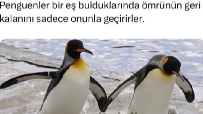 Ömrünüzün geri kalanını sadece bir kişiyle geçirebilir misiniz?