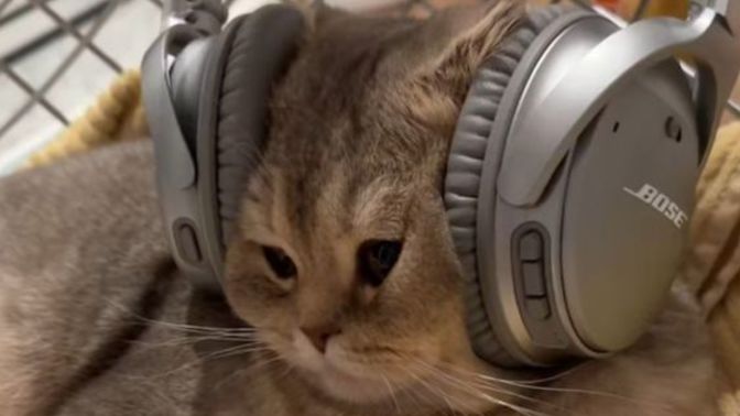 Müzik dinlerken en çok neye dikkat edersiniz?