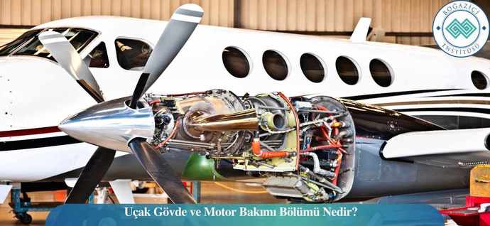 Sizce Hangi Bölüme Odaklanmalıyım?