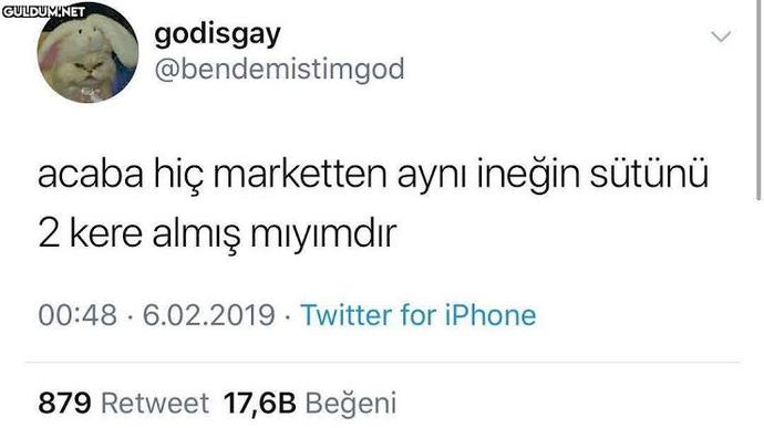Aklınıza abuk sabuk sorular takıldığı oluyor mu?