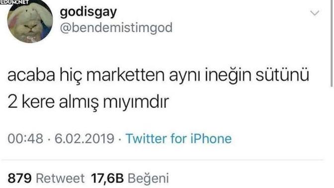 Aklınıza abuk sabuk sorular takıldığı oluyor mu?