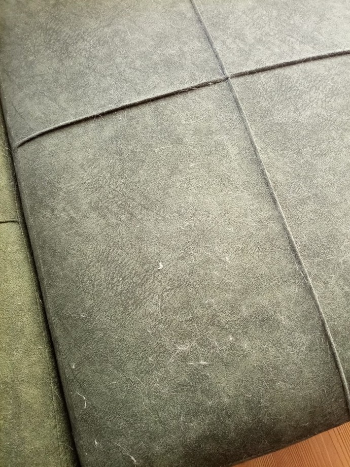 Koltuk üstündeki kedi tüylerini nasıl temizleyebilirim?