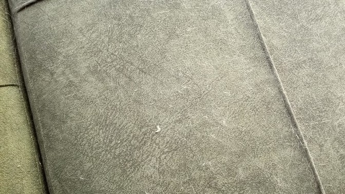 Koltuk üstündeki kedi tüylerini nasıl temizleyebilirim?