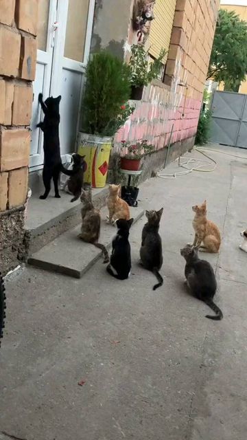 Kız aaaç kapıyııı evde olduğunu biliyoruz aaaçççç😂😂
