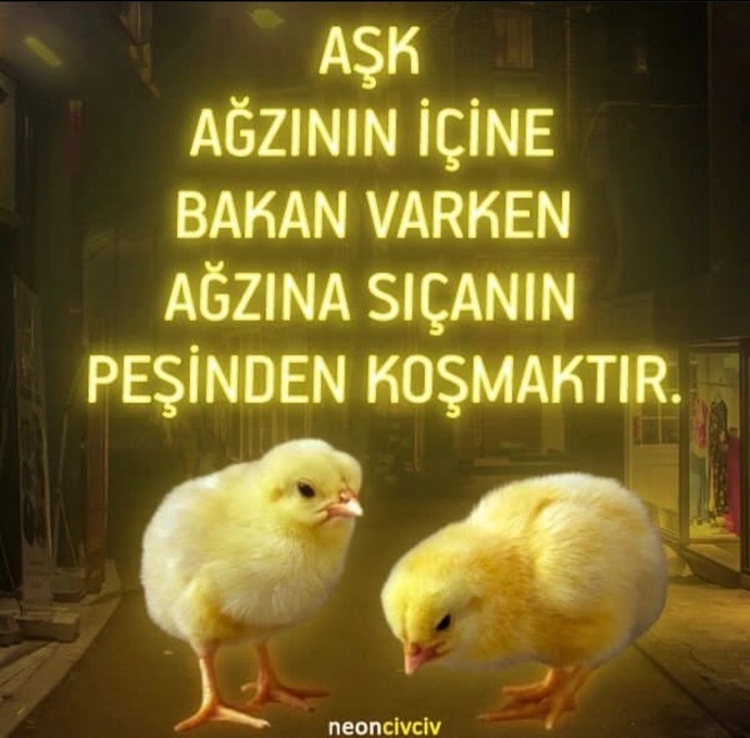Aşkın tarifi size göre nedir?
