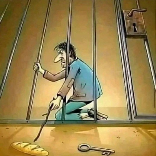 Sizce neden anahtar yerine ekmeğe ulaşmayı deniyor?