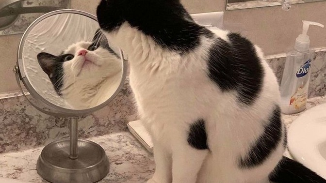 Küçükken ben su esya olmak isterdim dediniz mi 😊?