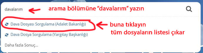 Hakkımda açılmış bir dava varsa e devlette çıkar mi?
