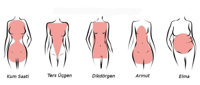 En çok beğendiğiniz kadın vücut tipi hangisi?