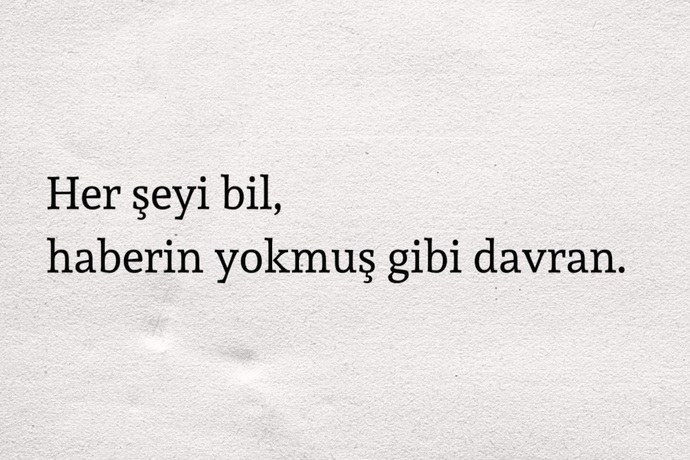 Her şeyi bilip, bilmiyormuş gibi yapar mısınız?
