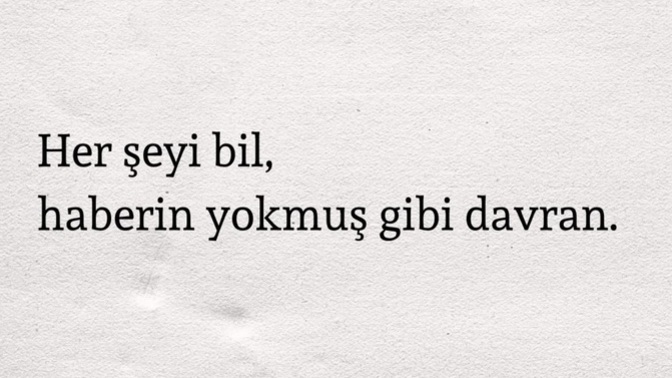 Her şeyi bilip, bilmiyormuş gibi yapar mısınız?