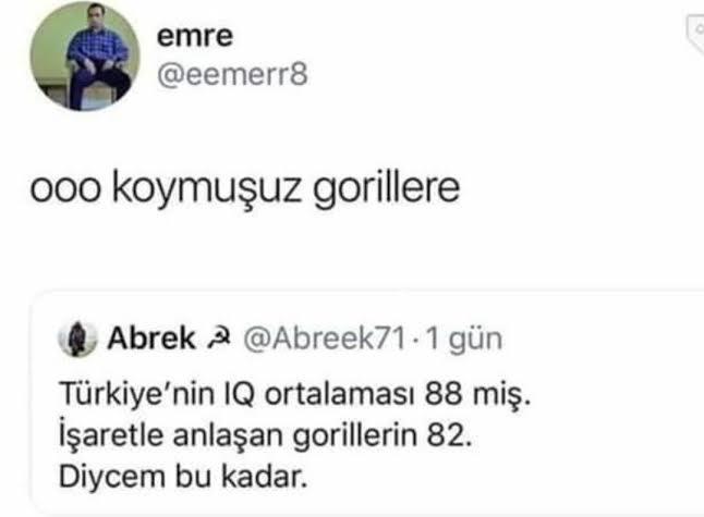 Türkler zeka olarak geride mi?