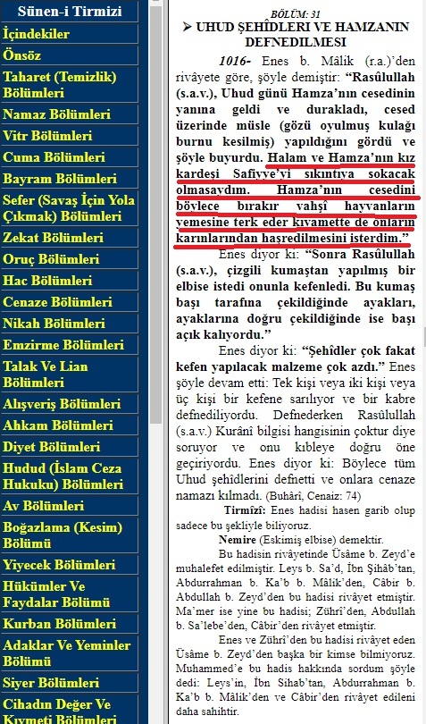 Hz. Muhammed S. A. V. Hz. Hamza ile ilgili neden bu şekil bir şey söylemiş olabilir?