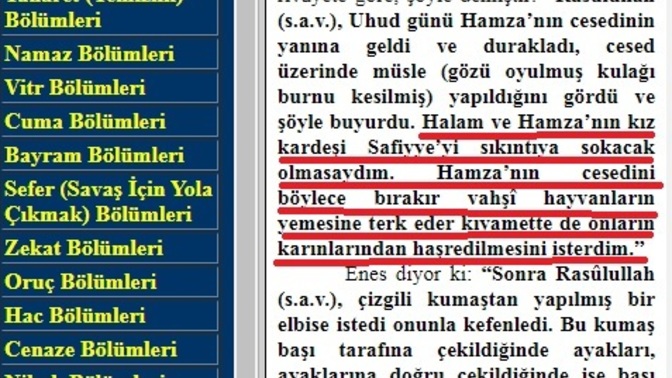 Hz. Muhammed S. A. V. Hz. Hamza ile ilgili neden bu şekil bir şey söylemiş olabilir?