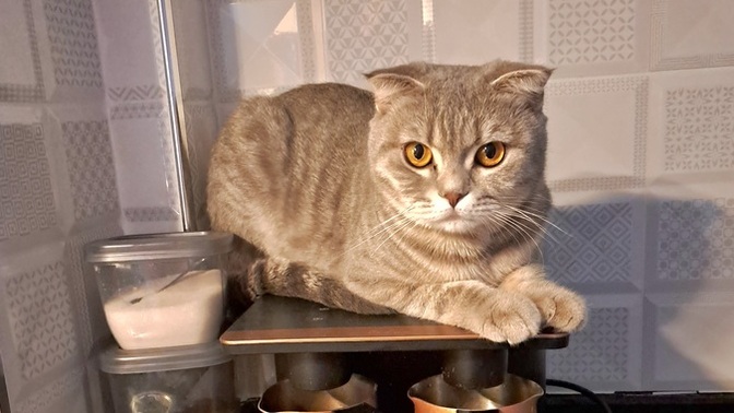Sizinde bir yere sığamadığınız oldu mu?