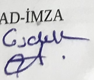 Sizce bu soyisim nedir?