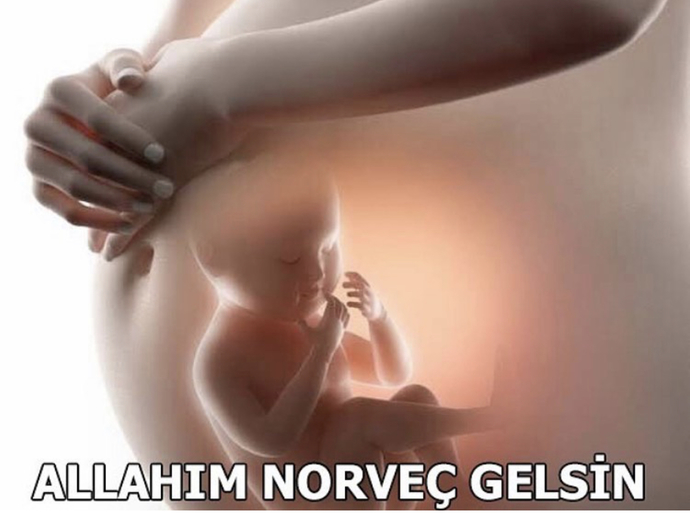 Doğacağın ülkeyi seçme şansın olsaydı hangi ülkeyi seçerdin?