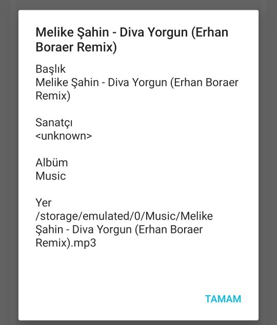Ne tarz müzik dinliyorsunuz😜?