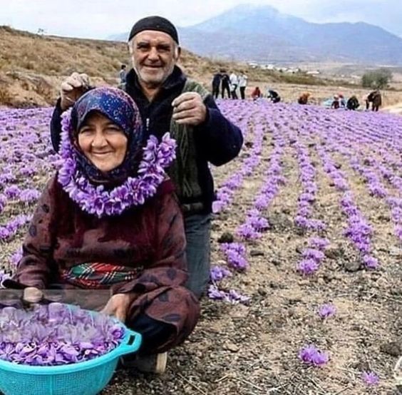 Sizce Z kuşağıyla şu anki ninelerimizin dedelerimizin arasındaki farklar neler?