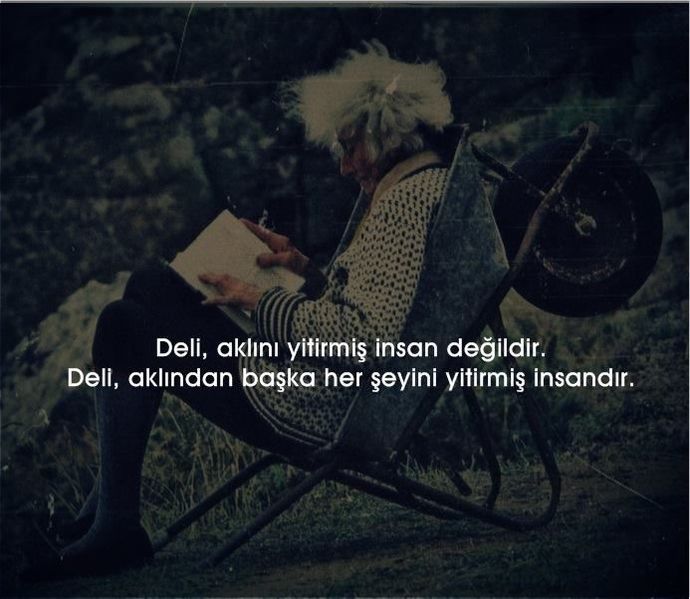 Deli, aklını yitirmiş insan değildir. Deli, aklından başka her şeyini yitirmiş insandır. sizce deli kimdir?