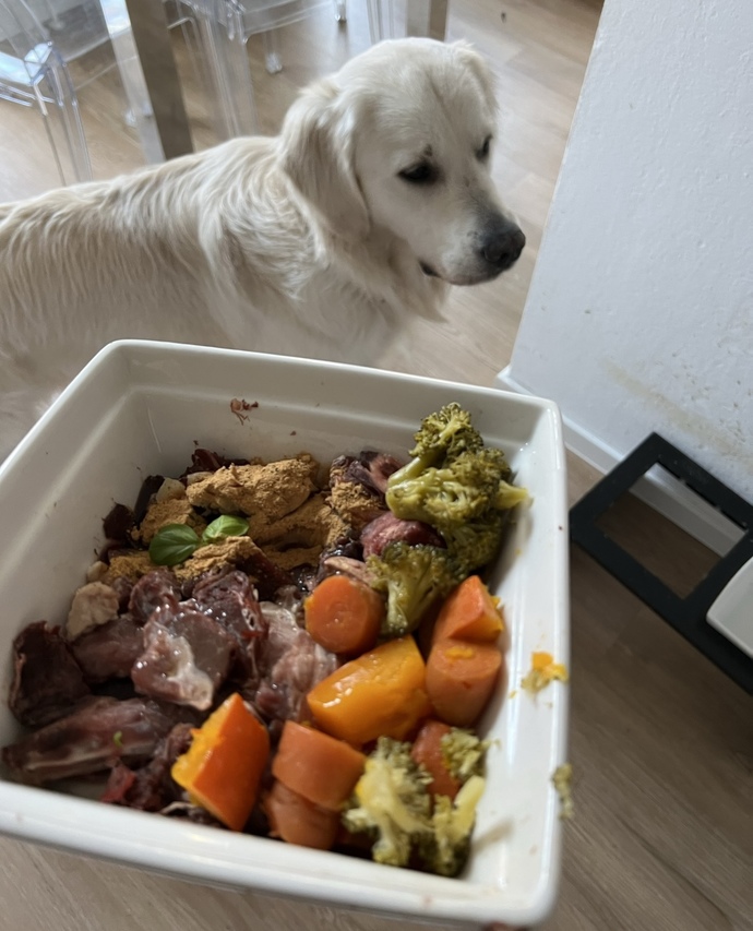 Köpeğimin mamasını nasıl buldunuz?
