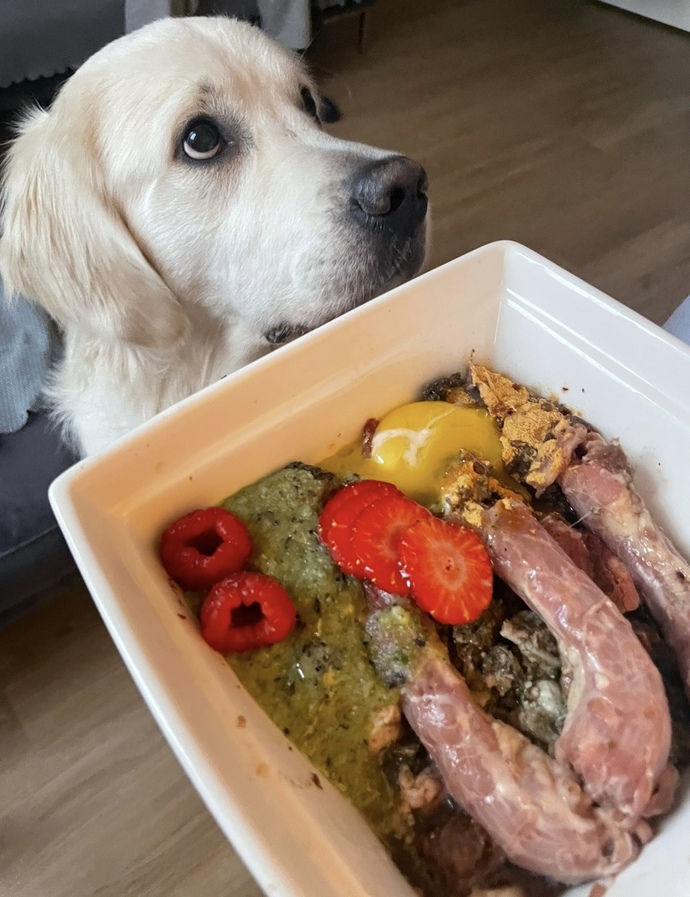 Köpeğimin mamasını nasıl buldunuz?
