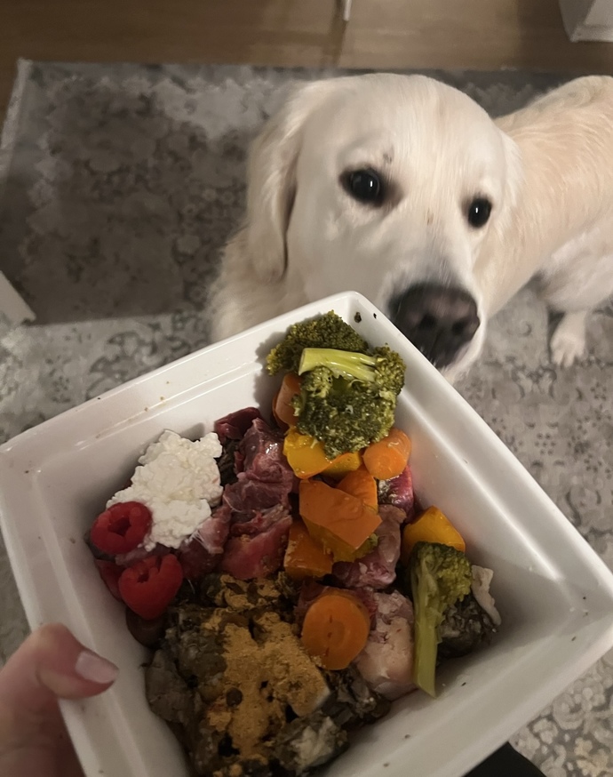 Köpeğimin mamasını nasıl buldunuz?