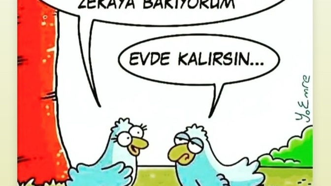 Karşı cinste aradığınız özellik nedir?
