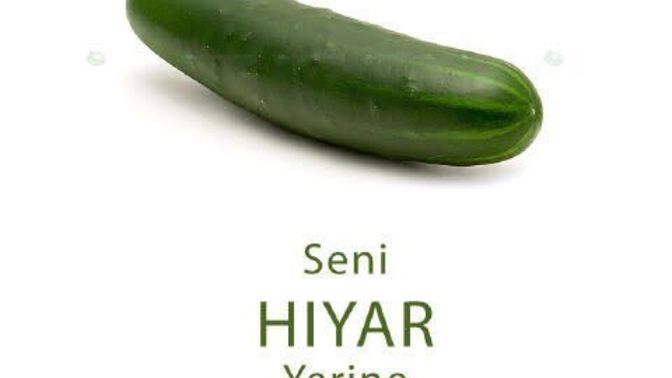 Her hıyarım var diyene tuzlukla koşarsaniz ne hale düşersiniz ?