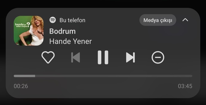 Bir şarkı bırakın desemm?