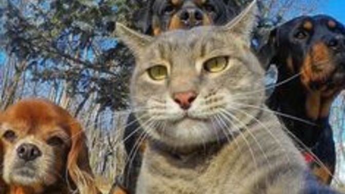 Sizinle fotoğraf çekilmeyen arkadaşınız olsa ne anlarsınız?