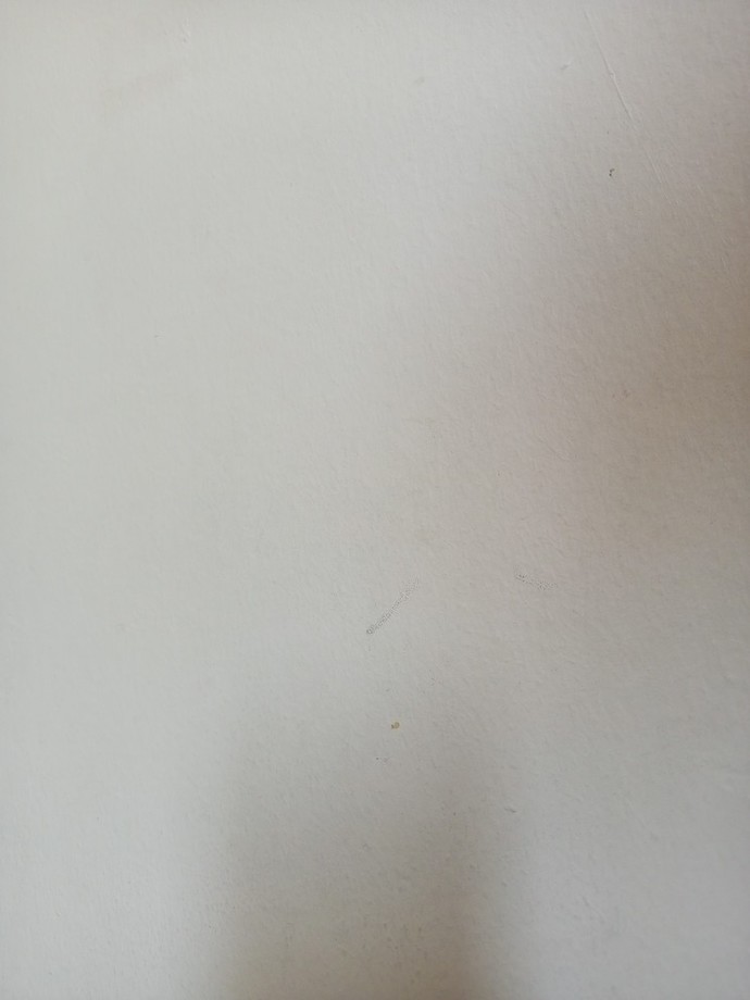 Odanızın duvarları ne renk?