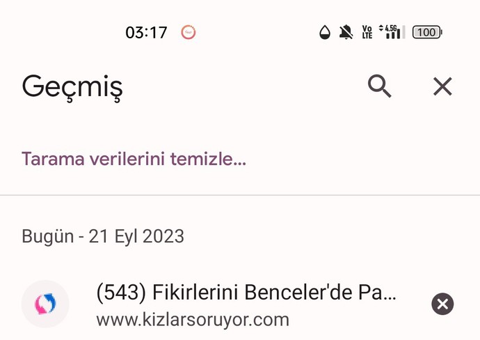 Google geçmişinde en son baktığın şeye beraber bakmış olsaydık ne görürdüm?