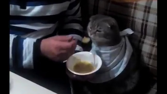 Hastayken nazını çeken biri/birileri var mı😌?