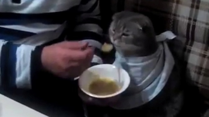 Hastayken nazını çeken biri/birileri var mı😌?