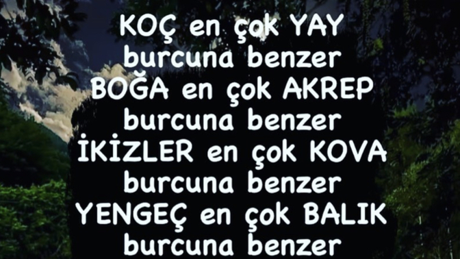 Burcun en çok hangi burca benzer😄?