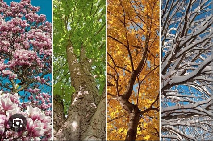 Hangi mevsim seni anlatıyor?