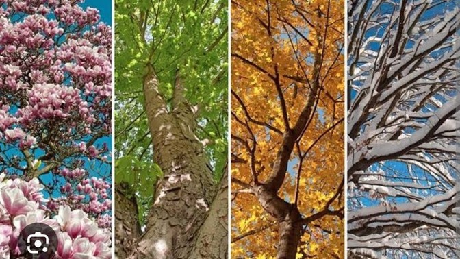 Hangi mevsim seni anlatıyor?