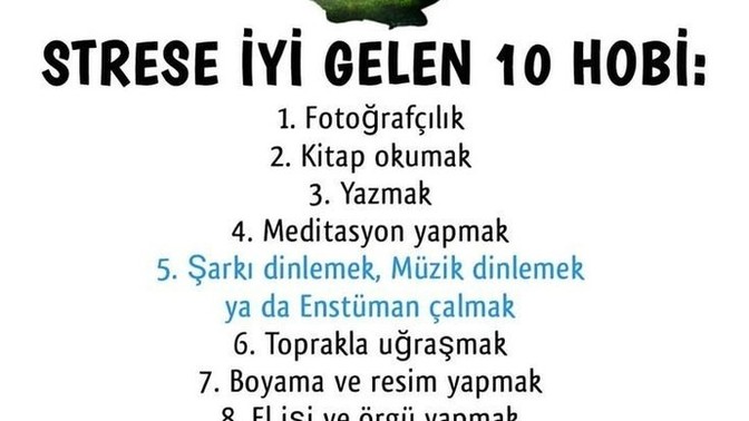 Listeye ekleyecek olsanız daha neler yazarsınız?