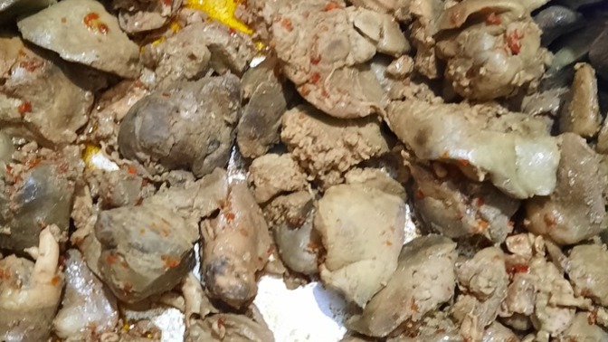 Kedilerim yiyince düz dyvara tırmanıyor Bunu yesem brucele olur muyum?