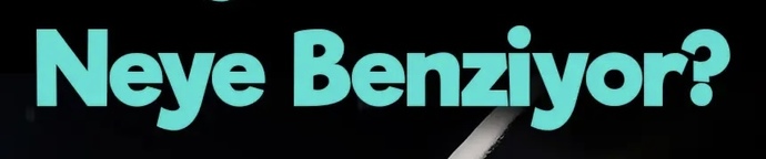 Bir şeye benzetecek olsaydınız sizinle çıkmak neye benzerdi?