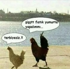 Erkek.
