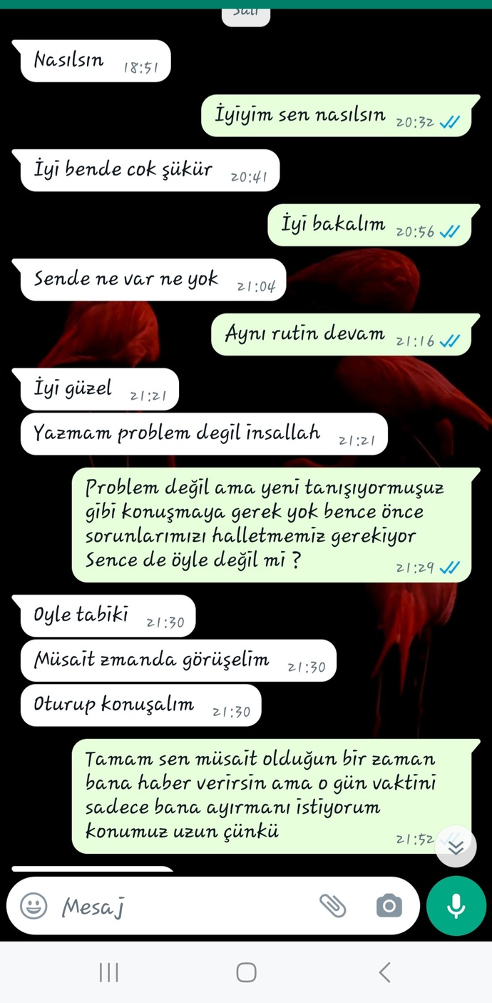 Şimdi sizce tekrar mesaj atsam mı?