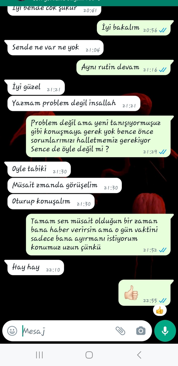 Şimdi sizce tekrar mesaj atsam mı?