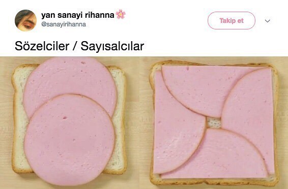 Lise zamanlarınızda sayısalcı mıydınız, sözelci mi?