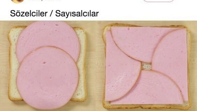 Lise zamanlarınızda sayısalcı mıydınız, sözelci mi?