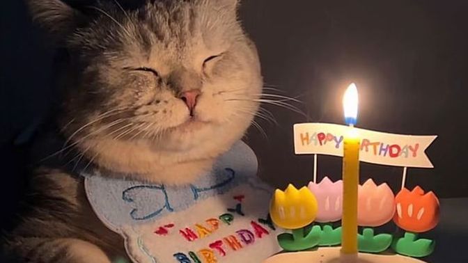 Doğum günümde mesaj almamaya mı üzüleyim yoksa erkek arkadaşımın 00.00'da normal konuşup kutlamamasına mı?