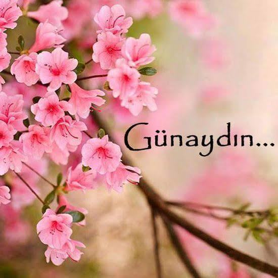 Herkese g&uuml;naydın, sen beş dakika daha uyu kıyamam 🌸