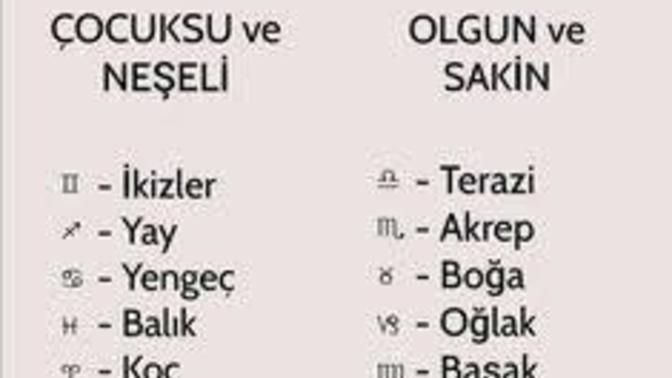Burcuna göre hangi taraftasın?